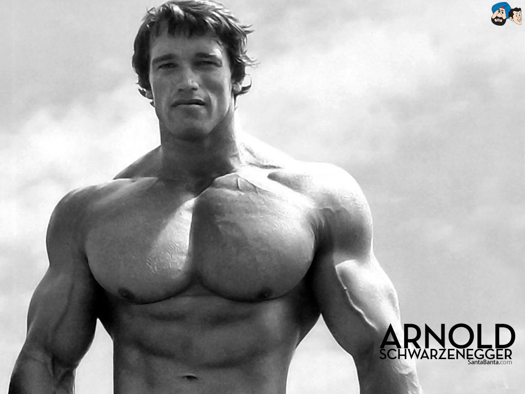 arnold-schwarzenegger-9a
